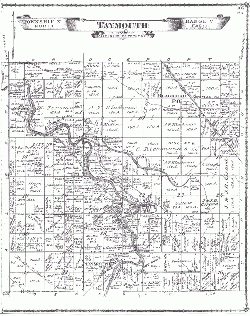 1877 Taymouth Township plat map